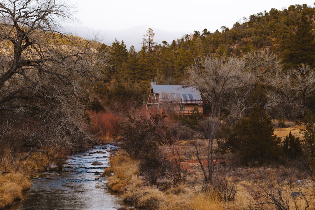 Land for homesteading in Alaska