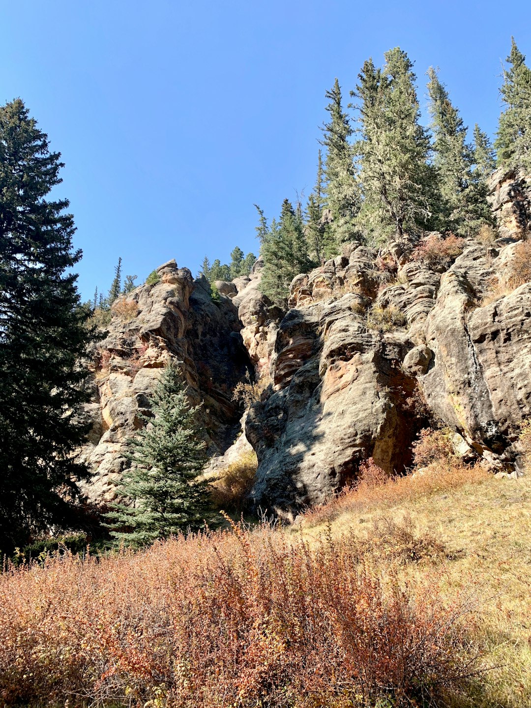 Wyoming land management