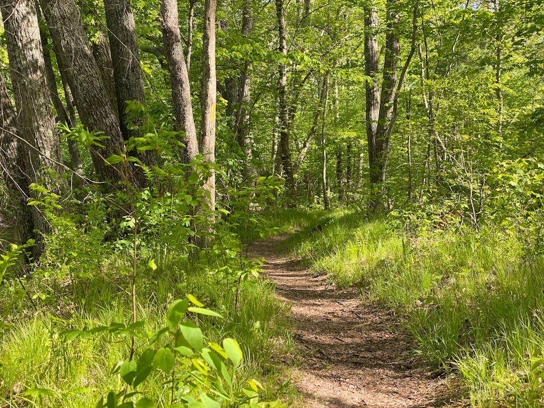 Alaska land with potential for recreation