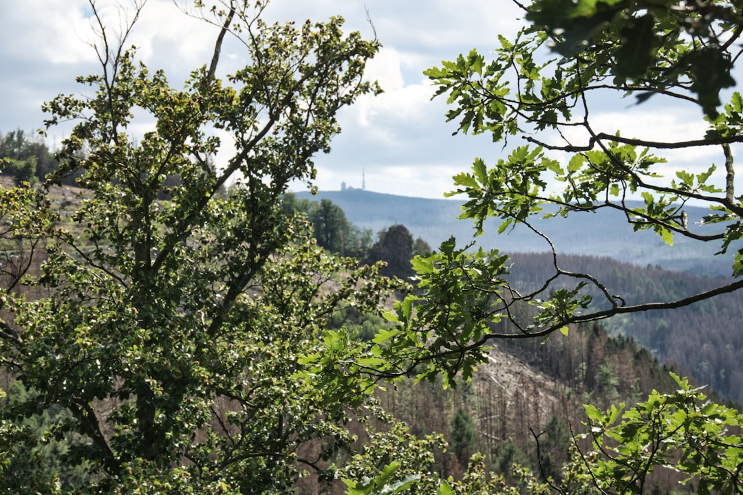 Sell mixed-use land in Idaho