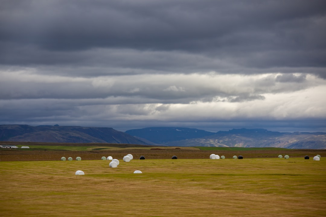 Sell Oregon farmland for cash