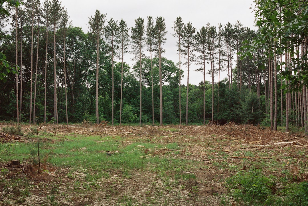 Sell Oregon vineyard land for cash