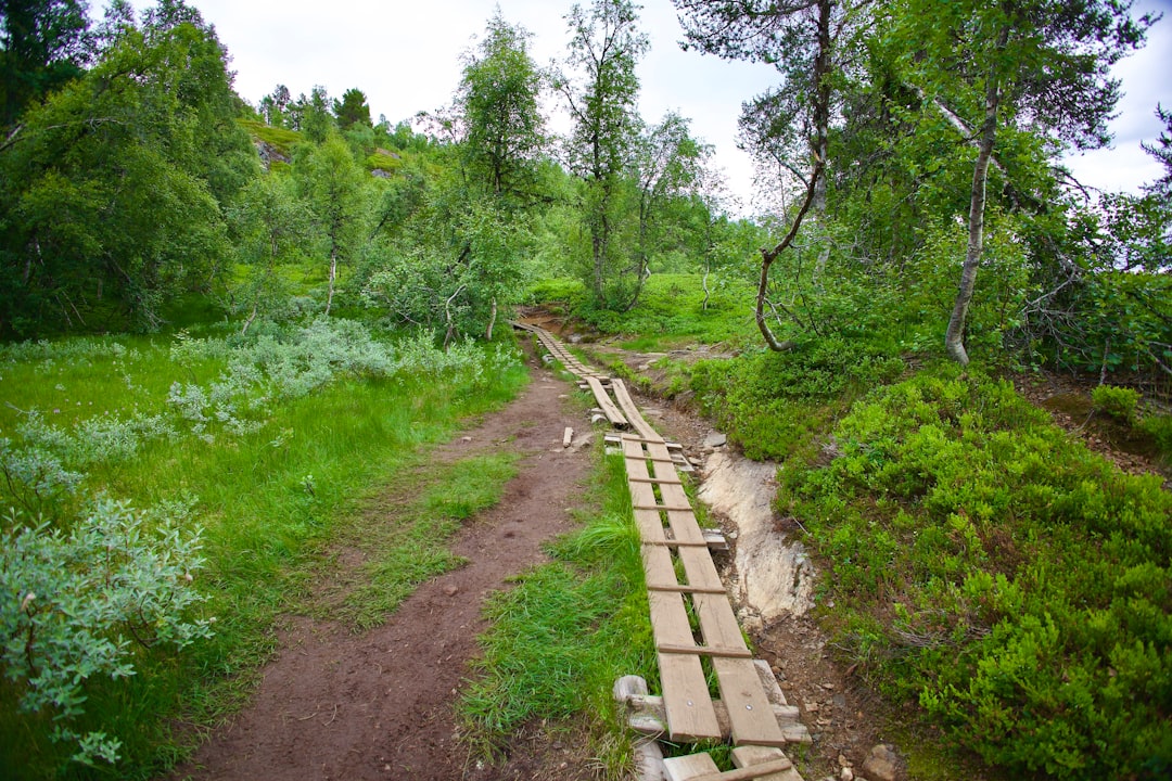 Alaska land with road access