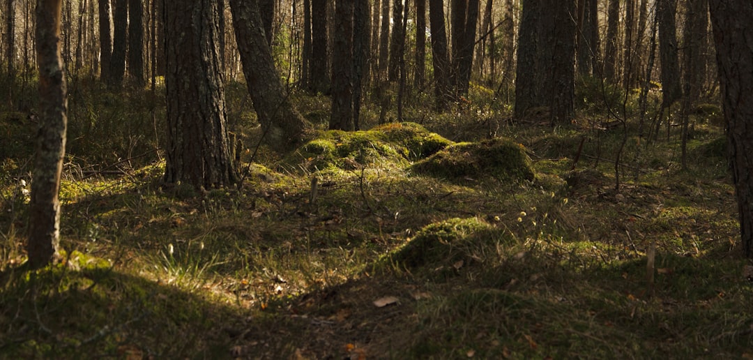 Selling lakefront land in Arkansas