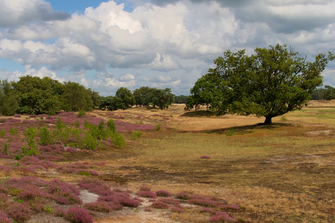 Selling land without a survey