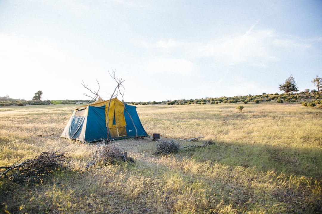 Sell Nevada land for cash