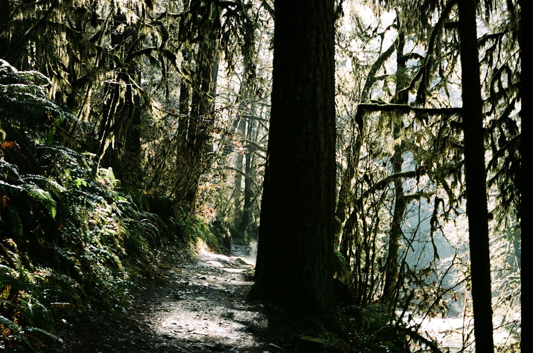 Cash for equestrian land in Oregon