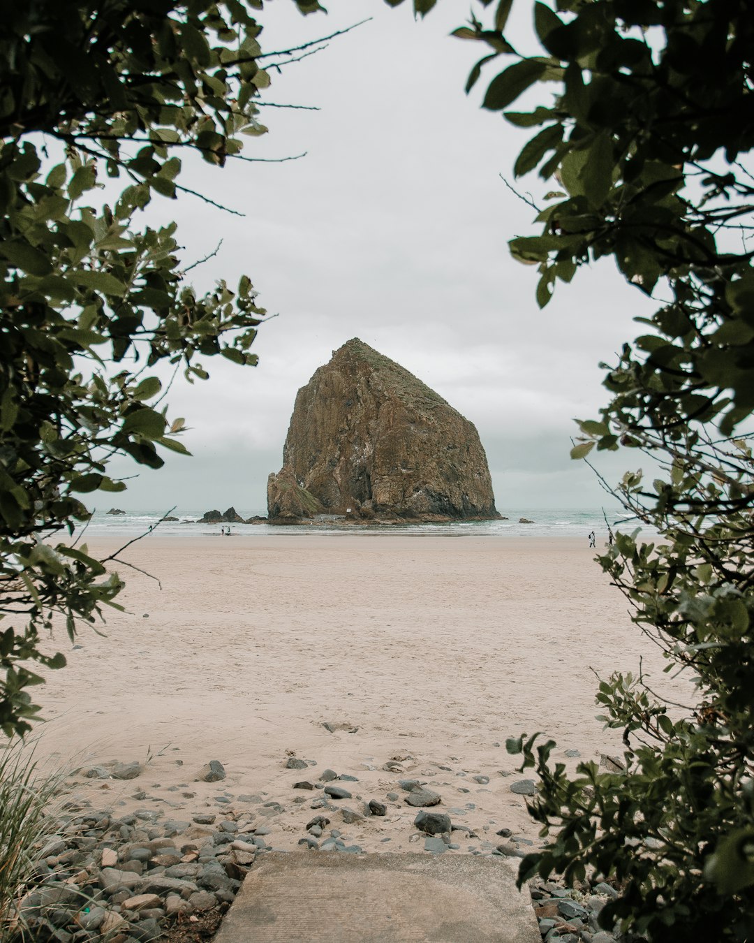 Sell land with water rights in Oregon for cash