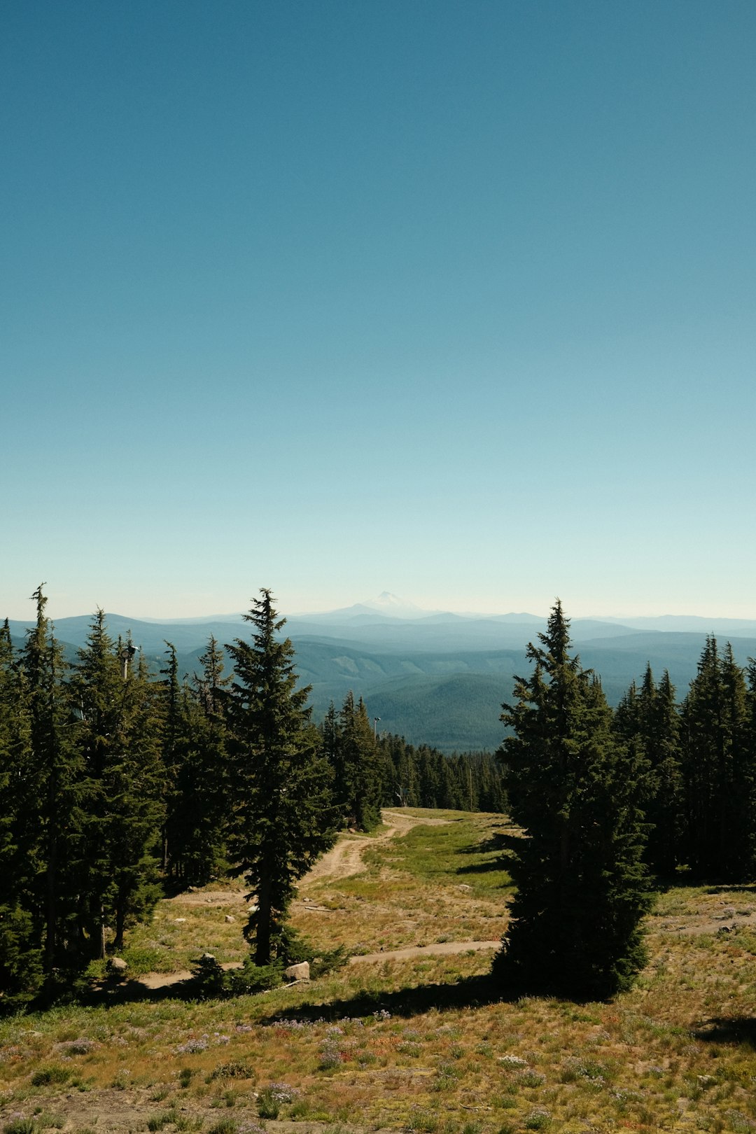 Sell hunting land in Oregon