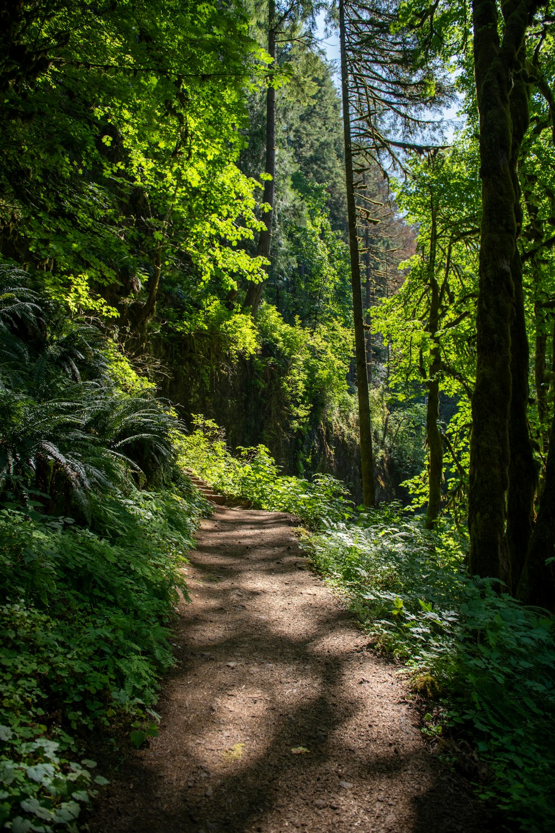 Selling land in Oregon