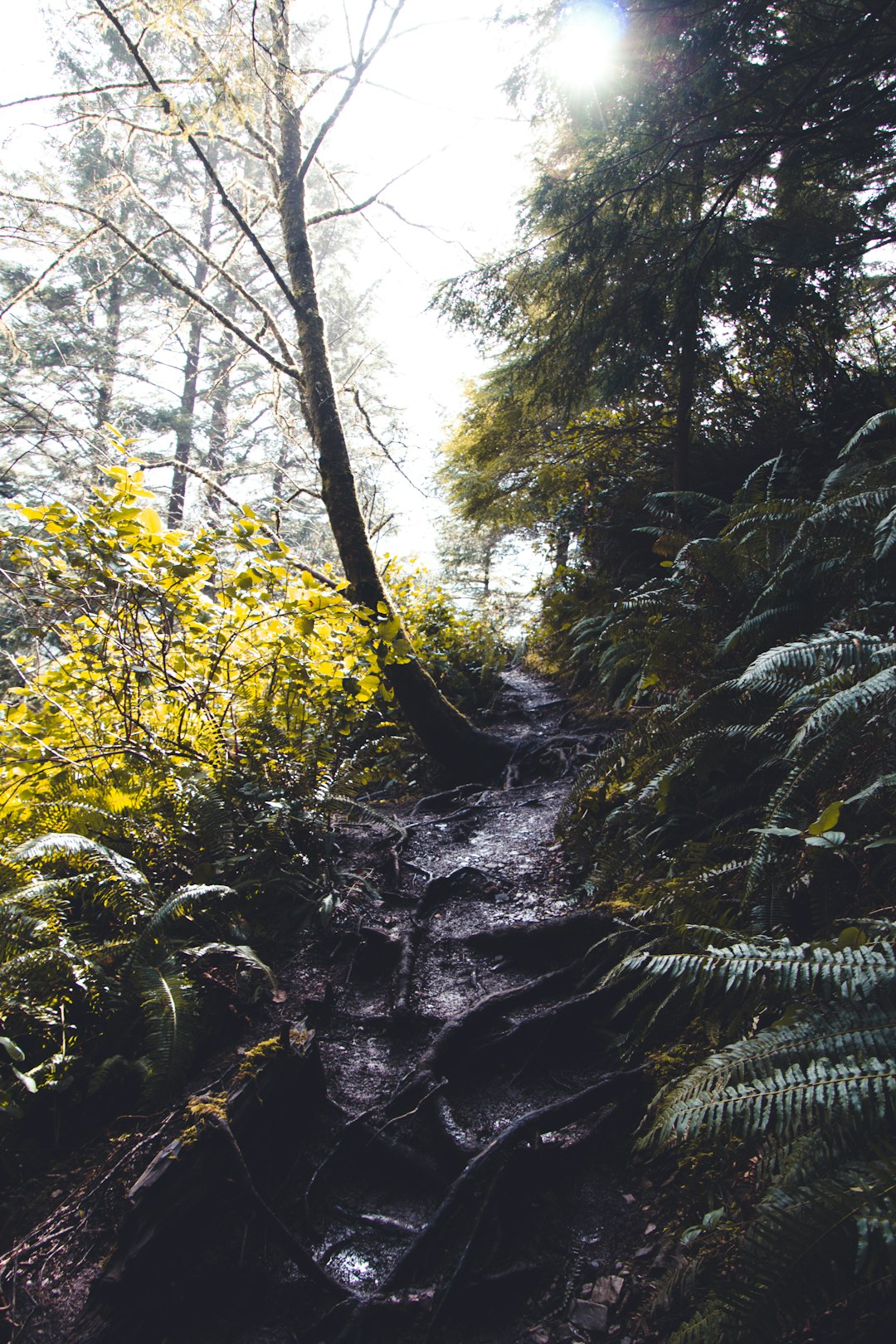 Selling mountain land in Oregon