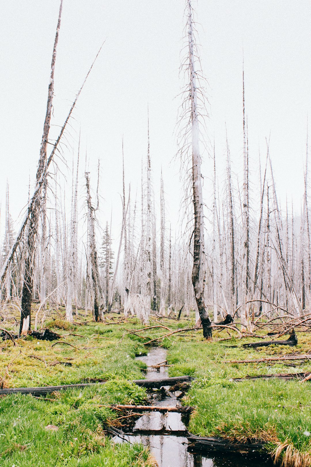 Wyoming land management