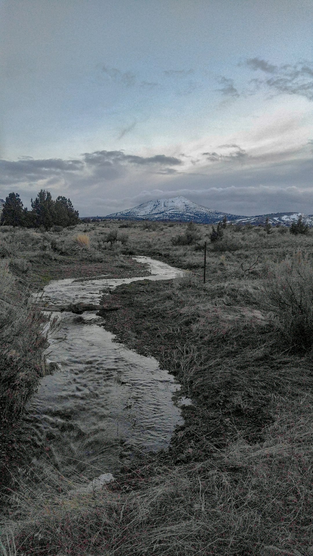 Sell vacant land in Oregon