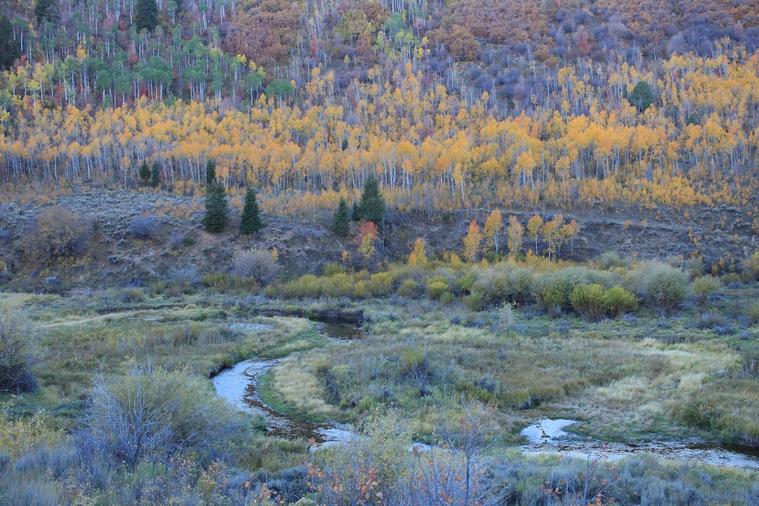 Wyoming public land for sale