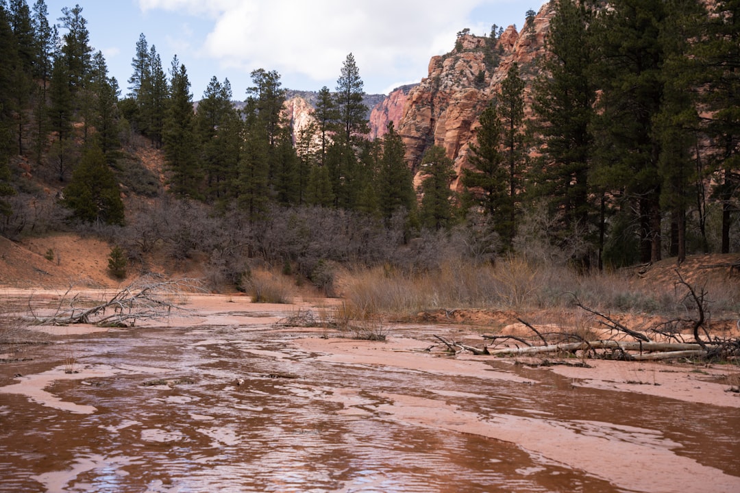 Sell Land with water rights for cash in Utah