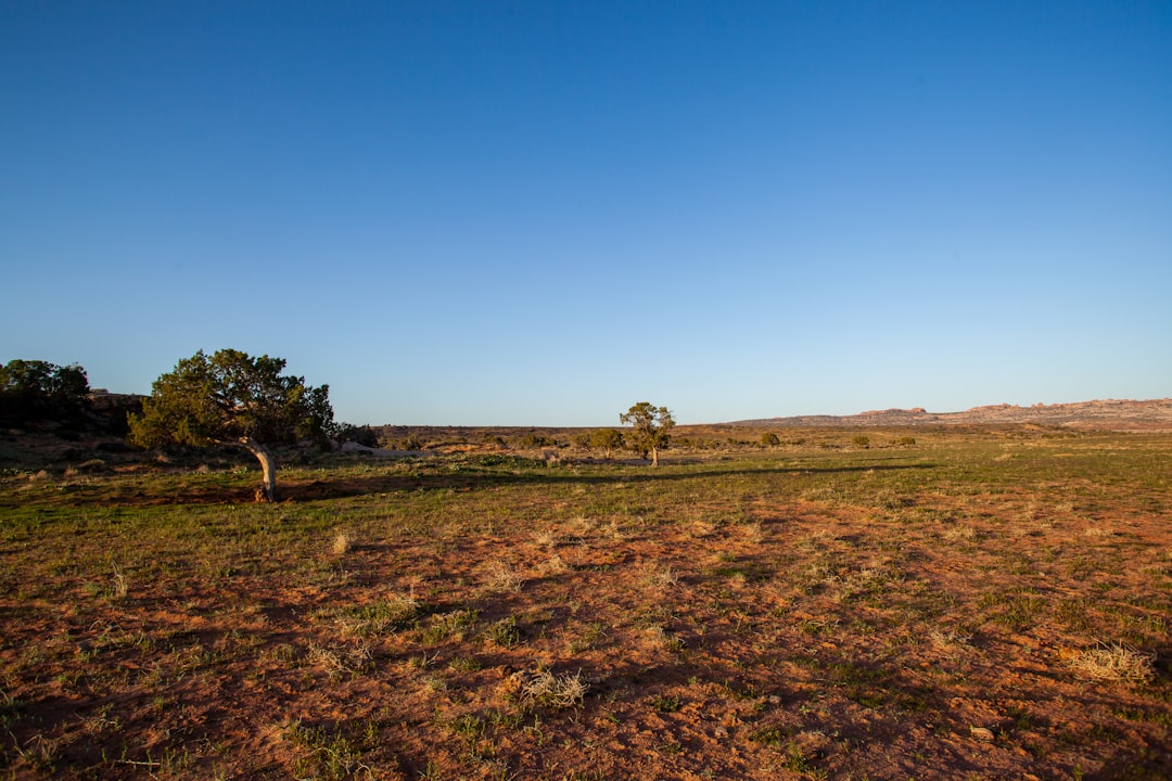 Sell Wyoming land