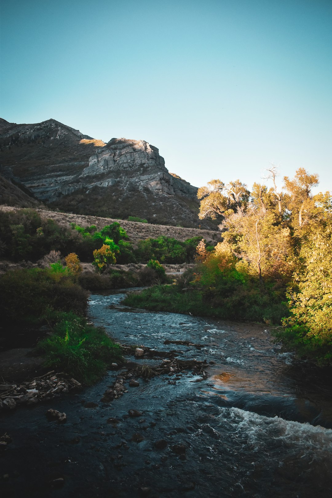 Nevada land restoration