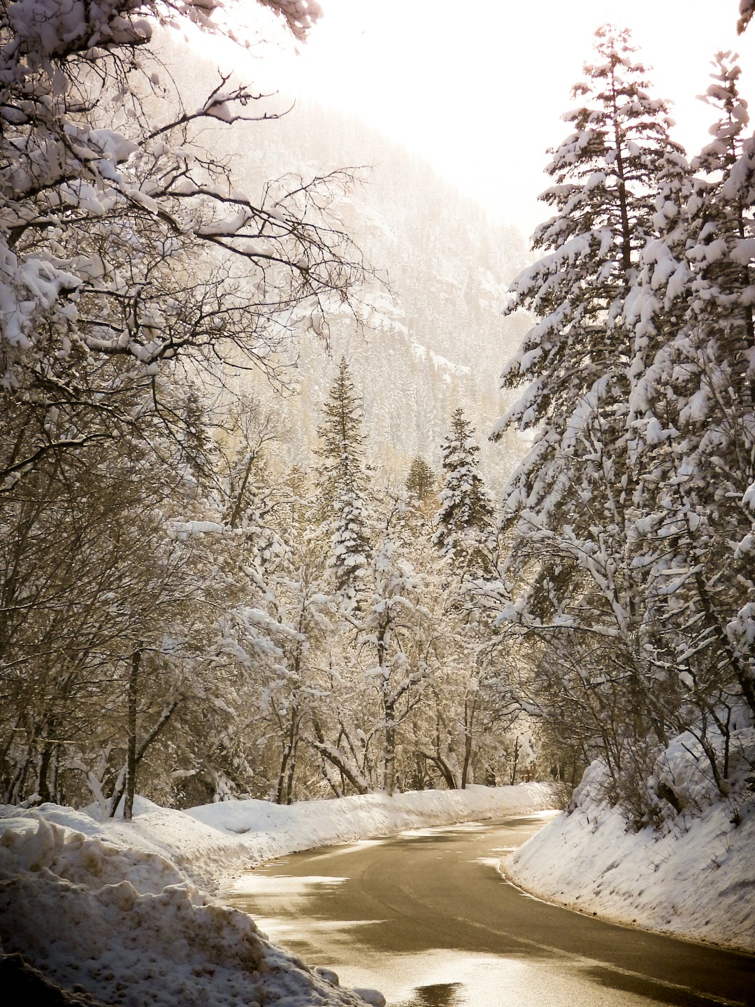 Wyoming land conservation trust