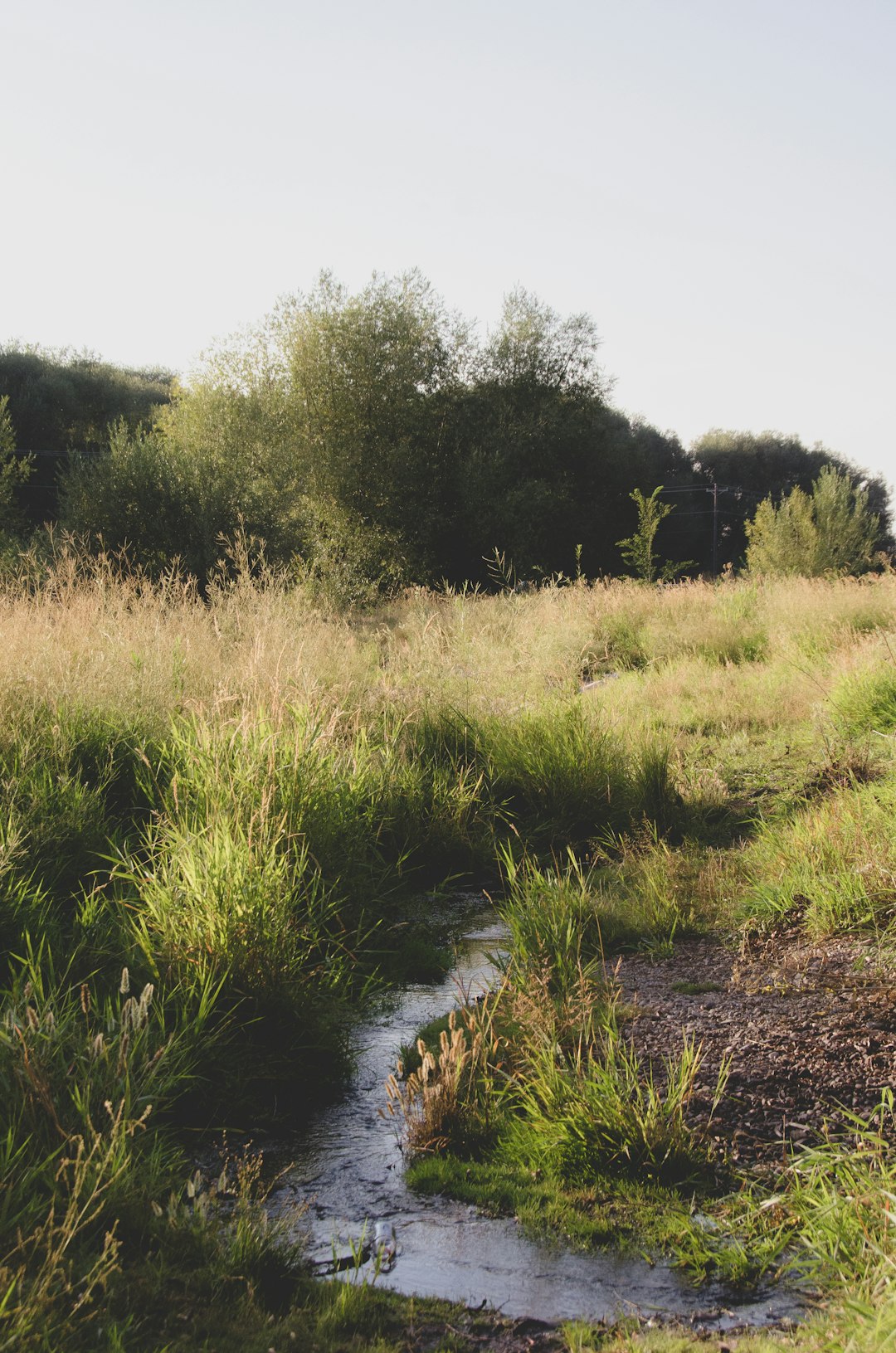 Wyoming land trust conservation easement