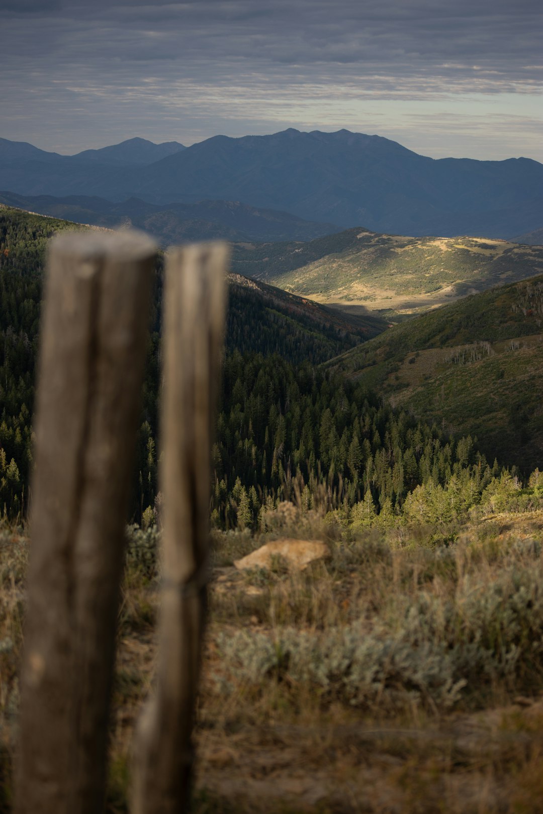 Wyoming land trust conservation easement