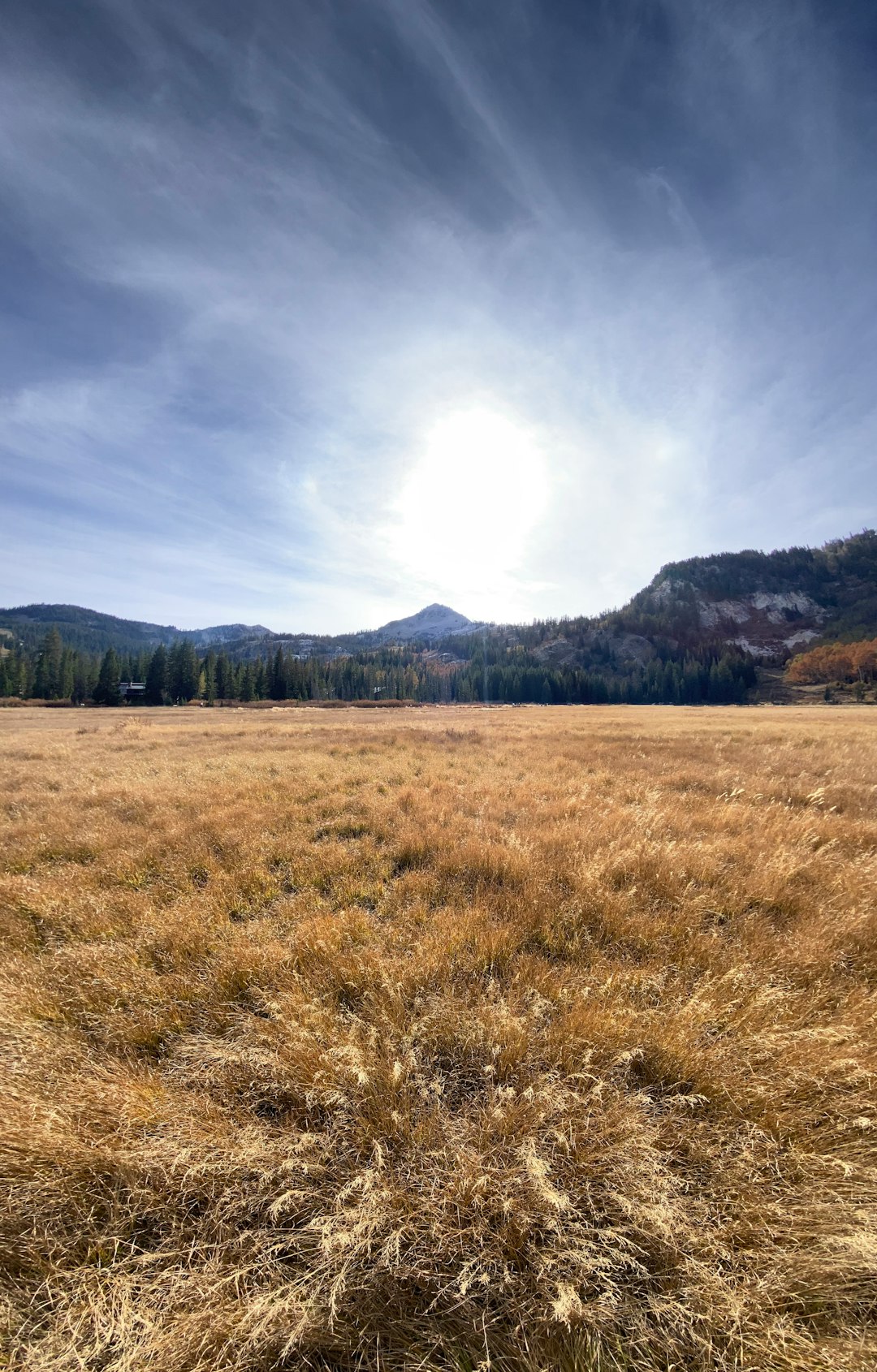 Sell Wyoming endangered species habitat