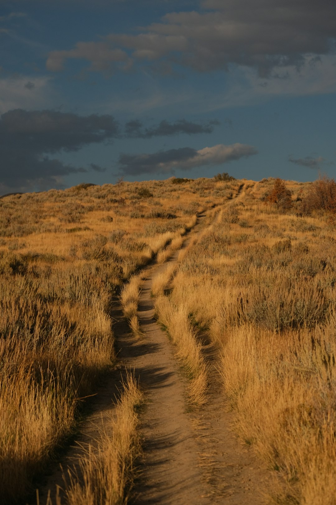 Sell Land with mountain views for cash in Utah