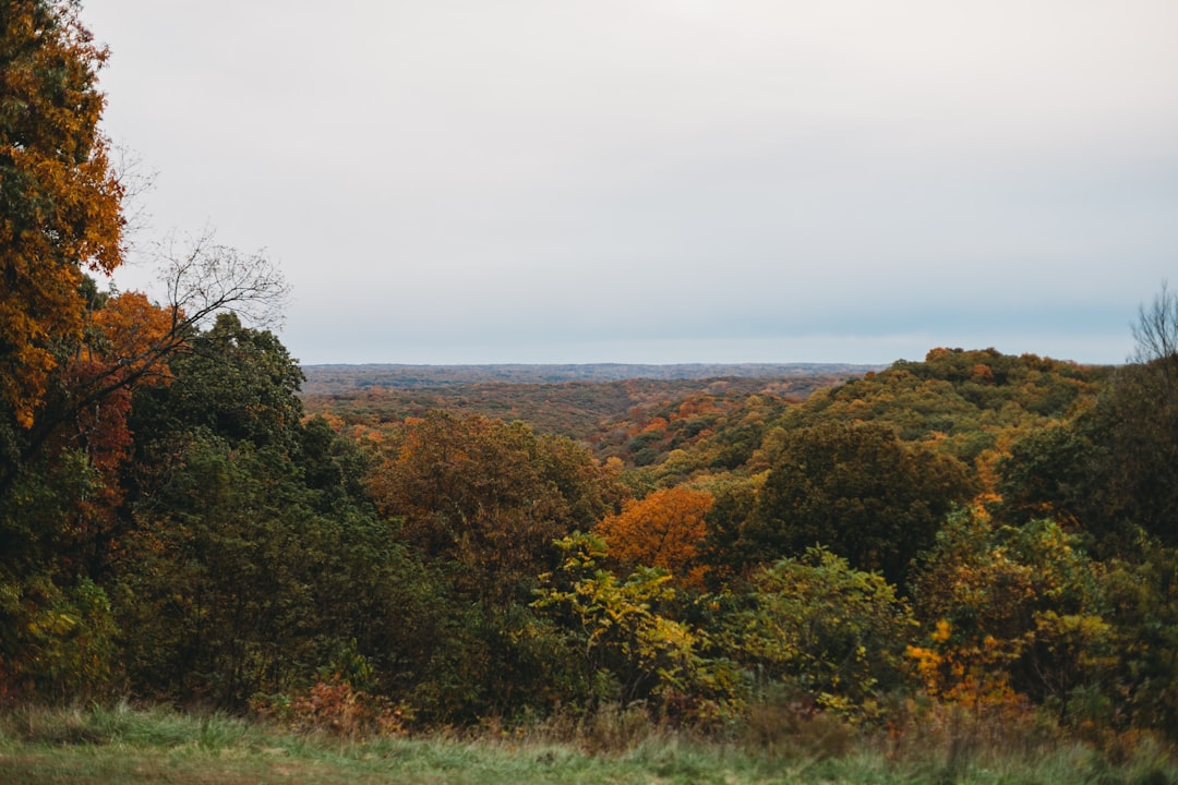 Buyers for Indiana acreage