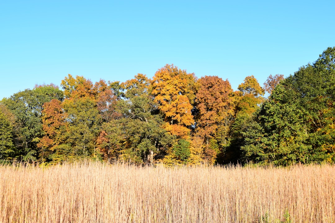 Sell Indiana farmland for cash