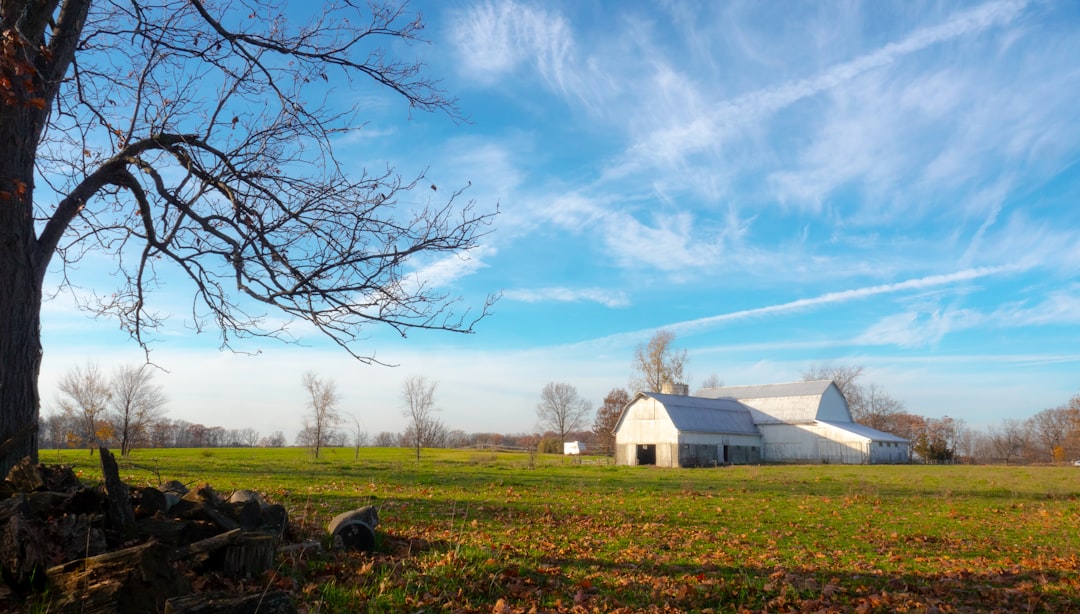 Sell Washington farmland for cash