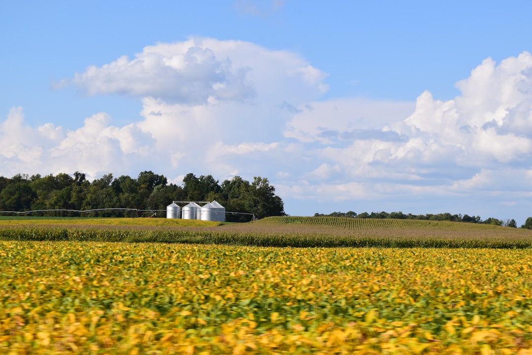 Cash buyers for land in Indiana