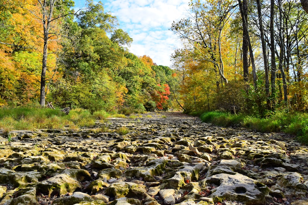 Indiana raw land buyers