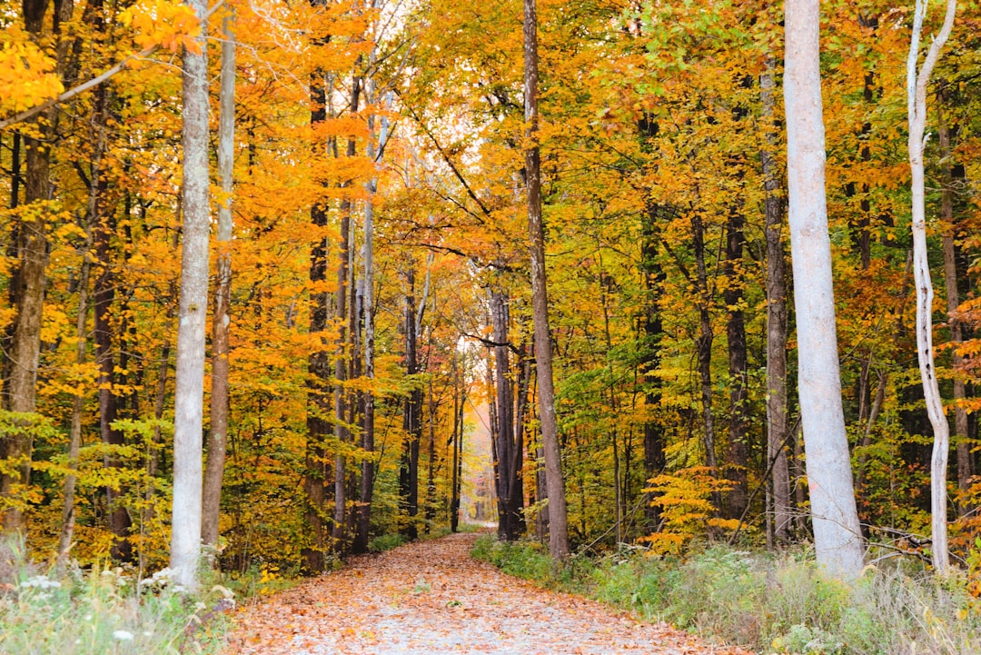 Indiana farmland buyers cash