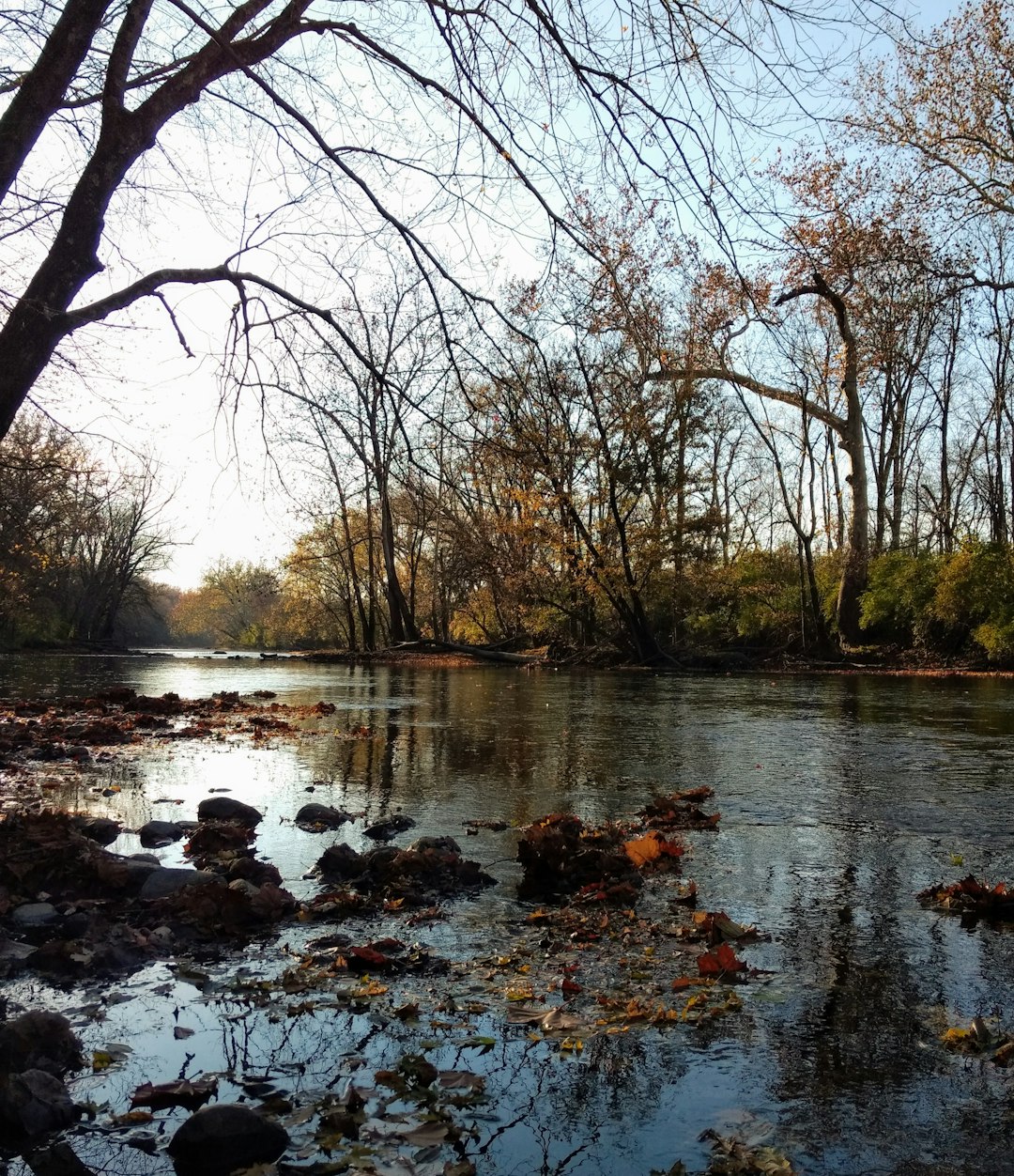 Cash buyer for rural Indiana land