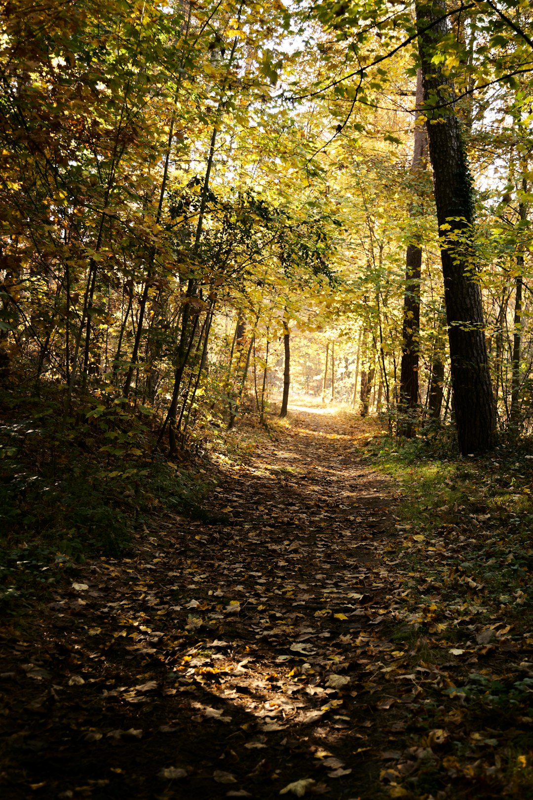 Indiana land buyers