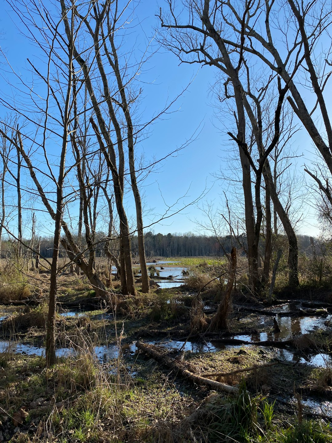 Indiana land for cash buyers