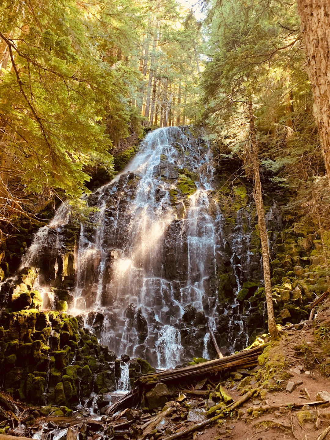 Washington raw land cash sale