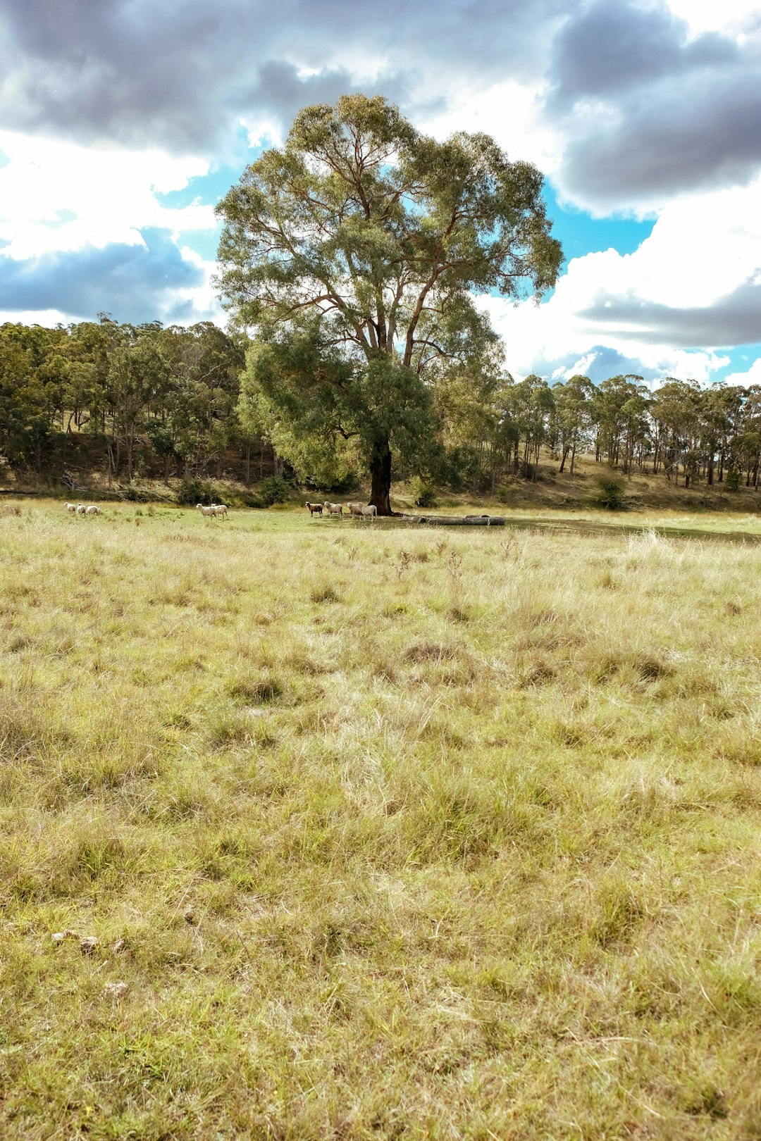 Sell Indiana farm property for cash