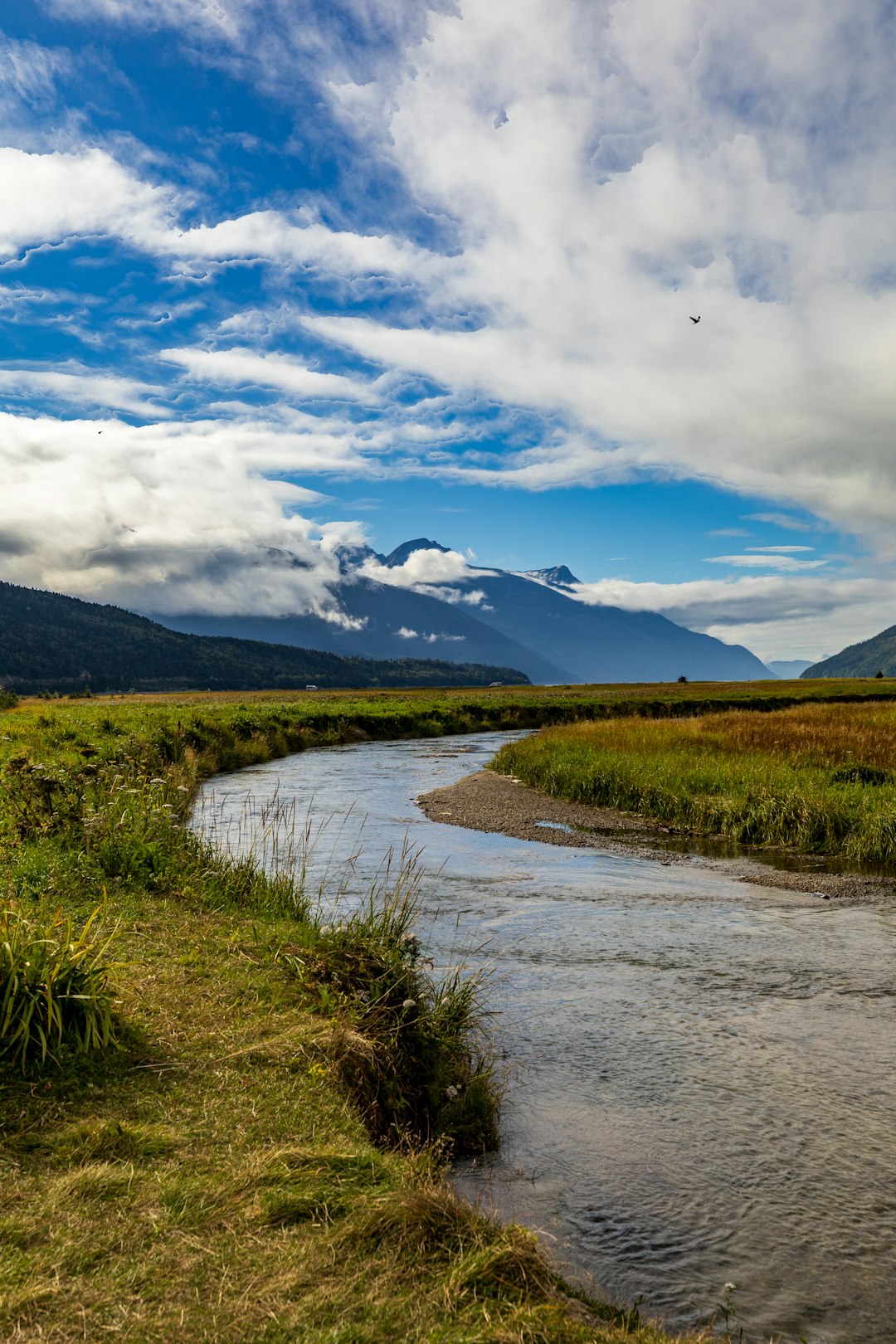 Sell rural land Washington for quick cash