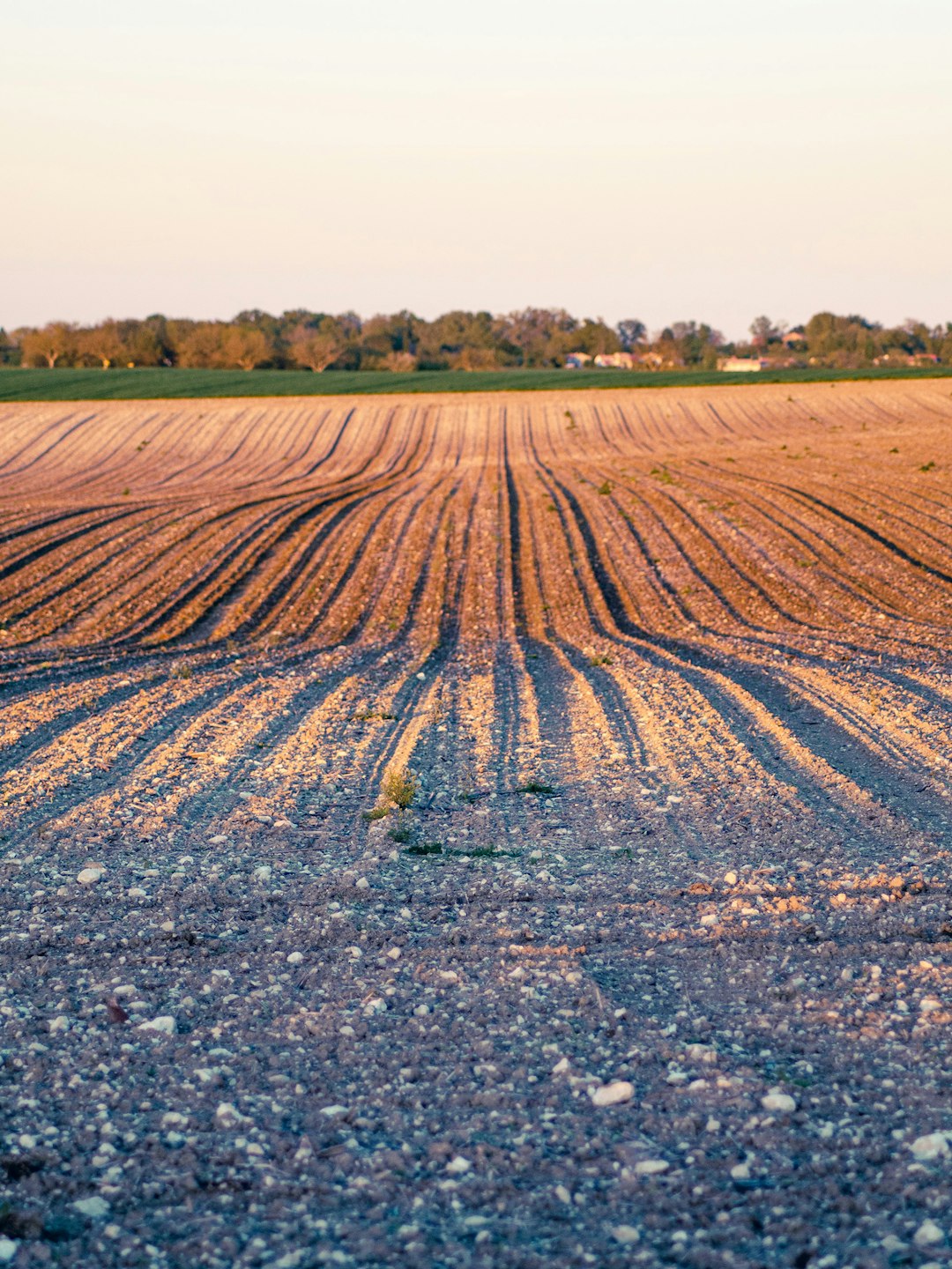 Cash offer for Indiana farmland