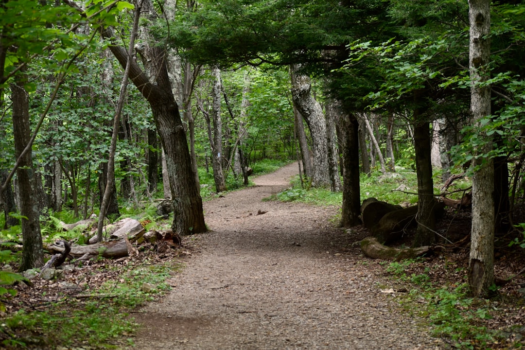 Selling inherited land for cash in Minnesota