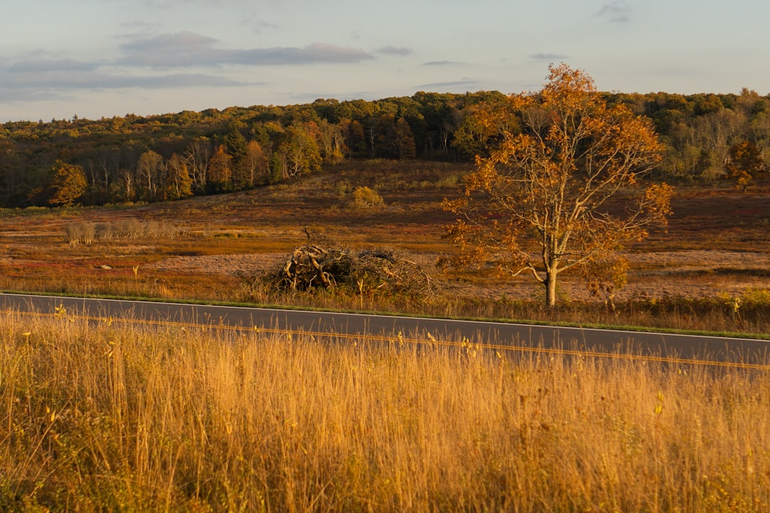 Sell vacant land for cash in NC