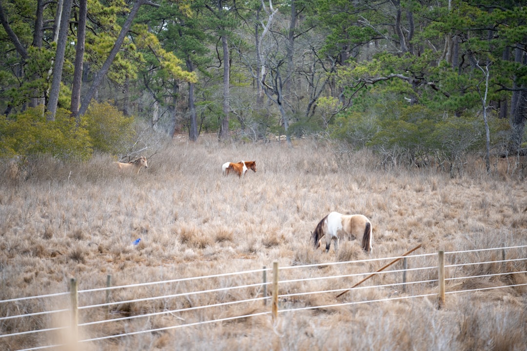 Sell land in Nebraska