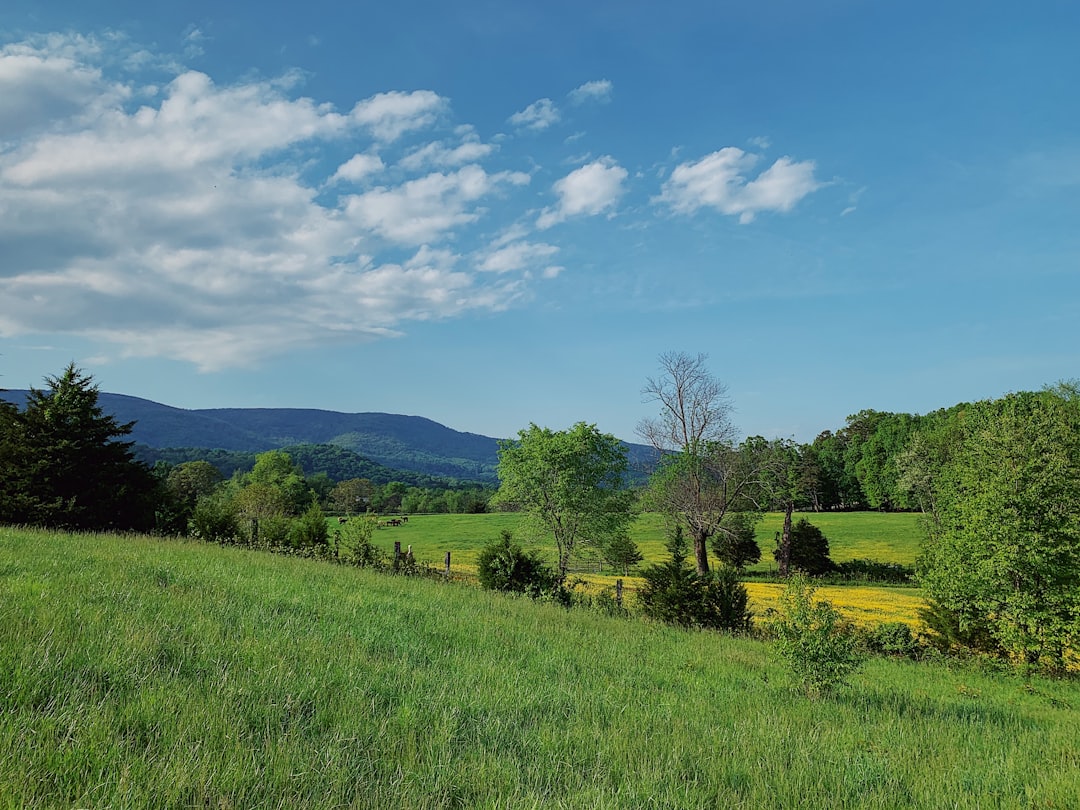 Massachusetts land buyer