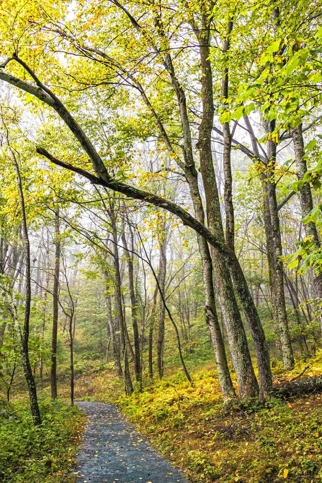 Selling land with mineral rights in Wisconsin