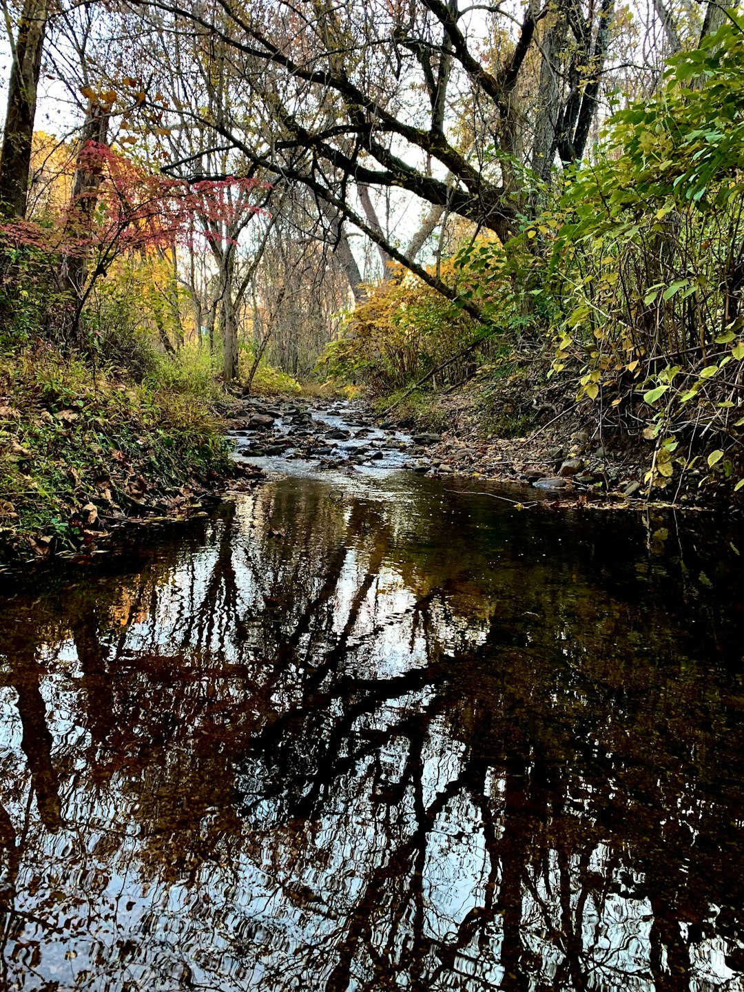 Sell rural land in Wisconsin