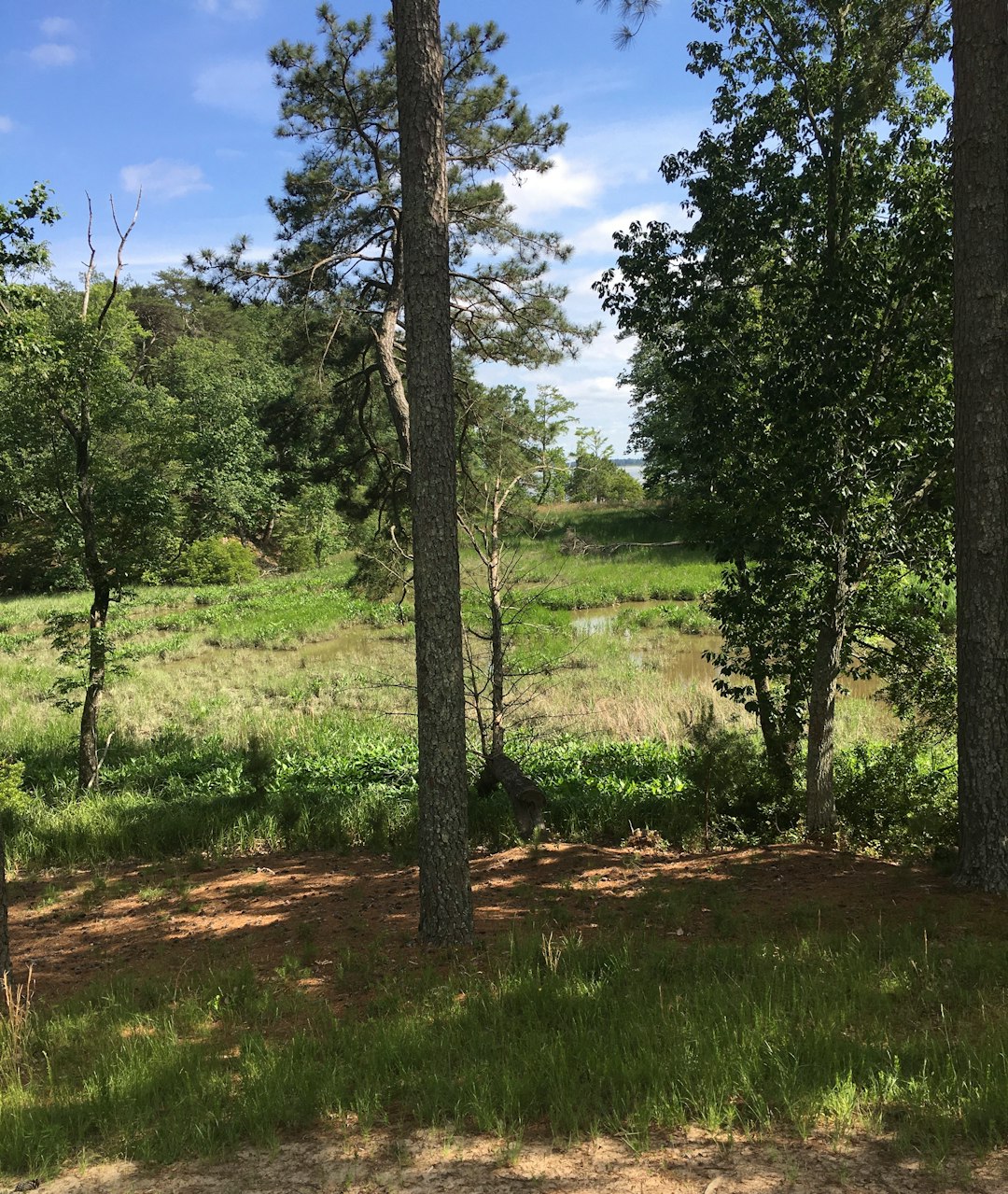 Minnesota land for sale with conservation easement