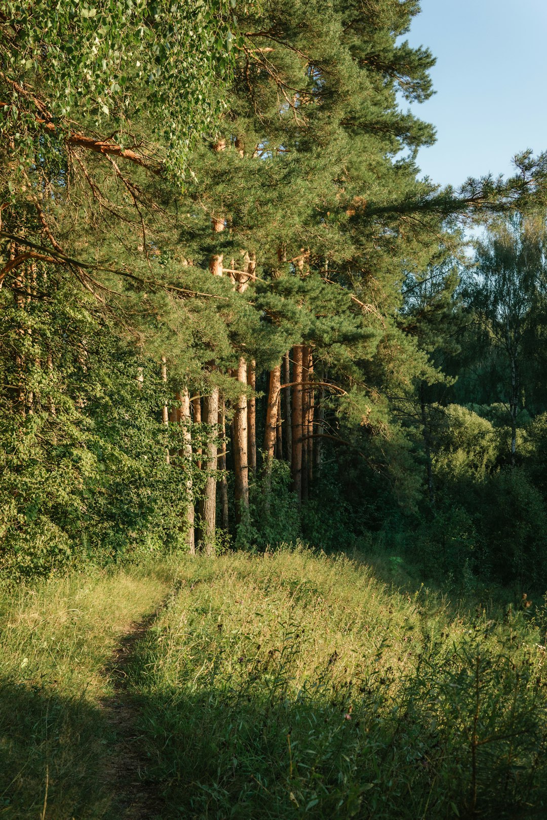 Selling land to developers in Minnesota