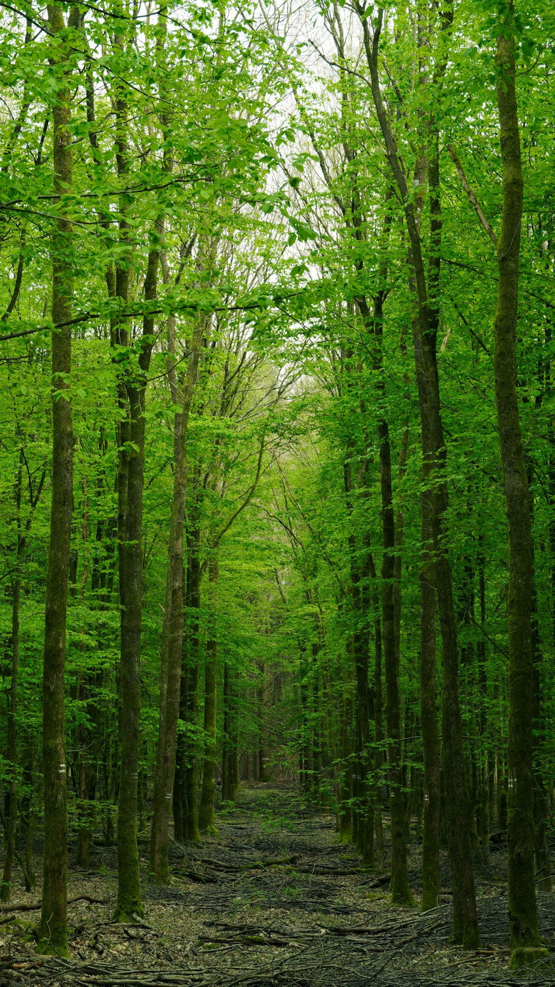 Selling land with hunting rights in Wisconsin