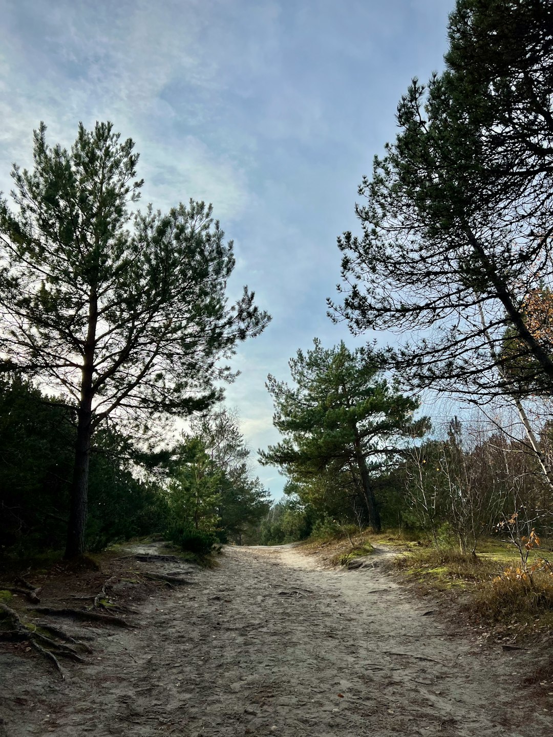 Cash for mountain land in North Carolina