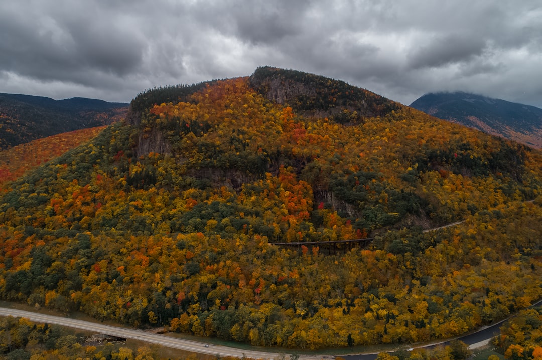 What is the Fastest Way to Sell New Hampshire Land for Cash?